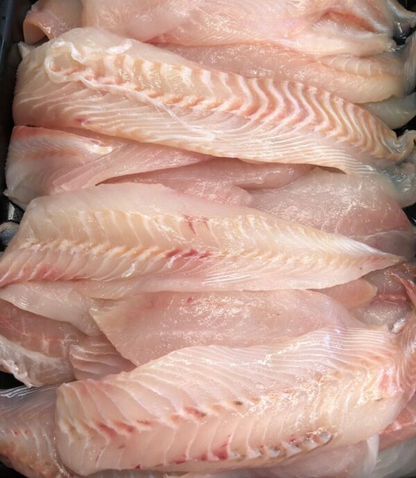 Fresh Tarakihi Fillets 1kg
