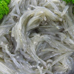 Fresh Whitebait